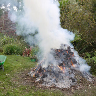 bonfire-gardener-2